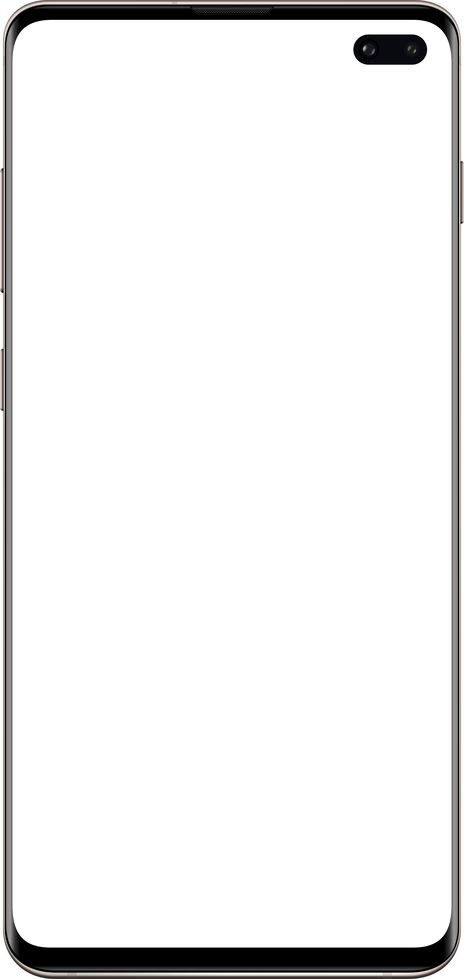 Samsung Galaxy S10+